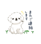 犬っ子ペロ〈敬語/植物〉（個別スタンプ：32）