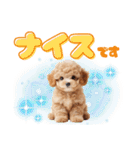 かわいい子犬！トイプードル（個別スタンプ：30）