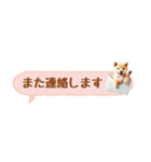 豆しばのふきだしスタンプ☆カラフル（個別スタンプ：23）