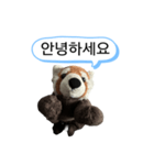 ネムくん 韓国語スタンプ（個別スタンプ：1）