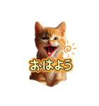 ねここ同じ顔シリーズ1（個別スタンプ：14）