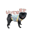 パグミオスタンプ（個別スタンプ：11）