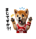 【敬語】リアルなバスケしば犬（個別スタンプ：10）