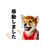 【敬語】リアルなバスケしば犬（個別スタンプ：21）