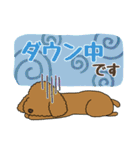 わんこの日常挨拶＊やさしい言葉（個別スタンプ：24）