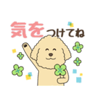 わんこの日常挨拶＊やさしい言葉（個別スタンプ：27）