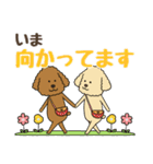 わんこの日常挨拶＊やさしい言葉（個別スタンプ：30）