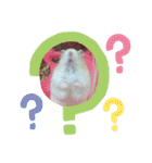 ピークちゃんスタンプ（個別スタンプ：13）