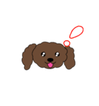 ゆるーいトイプー〈顔文字風〉（個別スタンプ：7）