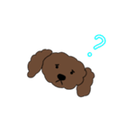 ゆるーいトイプー〈顔文字風〉（個別スタンプ：8）