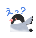 もちっと鳥スタンプ（個別スタンプ：4）