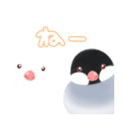 もちっと鳥スタンプ（個別スタンプ：6）