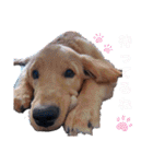RukaRimaRoi（個別スタンプ：3）