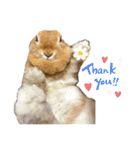 うさぎのみみ子3（個別スタンプ：4）