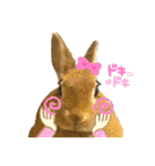 うさぎのみみ子3（個別スタンプ：8）