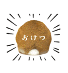うさぎのみみ子3（個別スタンプ：16）