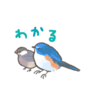 文鳥さんと小鳥のあいづちスタンプ（個別スタンプ：2）