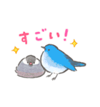 文鳥さんと小鳥のあいづちスタンプ（個別スタンプ：6）