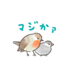 文鳥さんと小鳥のあいづちスタンプ（個別スタンプ：7）