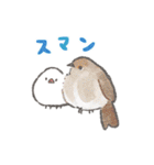 文鳥さんと小鳥のあいづちスタンプ（個別スタンプ：8）