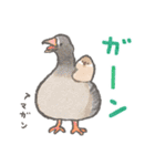 文鳥さんと小鳥のあいづちスタンプ（個別スタンプ：10）