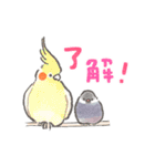 文鳥さんと小鳥のあいづちスタンプ（個別スタンプ：11）