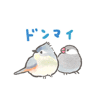 文鳥さんと小鳥のあいづちスタンプ（個別スタンプ：13）