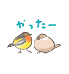 文鳥さんと小鳥のあいづちスタンプ（個別スタンプ：17）