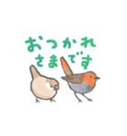 文鳥さんと小鳥のあいづちスタンプ（個別スタンプ：24）