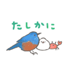 文鳥さんと小鳥のあいづちスタンプ（個別スタンプ：30）