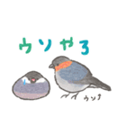 文鳥さんと小鳥のあいづちスタンプ（個別スタンプ：36）