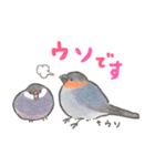 文鳥さんと小鳥のあいづちスタンプ（個別スタンプ：37）