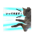 長毛こねこちゃん「わさび♂」（個別スタンプ：5）