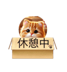 ねここ同じ顔シリーズ2（個別スタンプ：16）