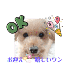 お迎え☆行きます（個別スタンプ：1）