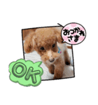 お迎え☆行きます（個別スタンプ：2）