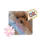 お迎え☆行きます（個別スタンプ：7）