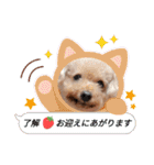 お迎え☆行きます（個別スタンプ：10）