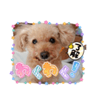 お迎え☆行きます（個別スタンプ：16）