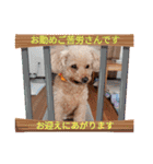 お迎え☆行きます（個別スタンプ：19）