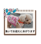 お迎え☆行きます（個別スタンプ：20）