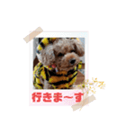 お迎え☆行きます（個別スタンプ：24）