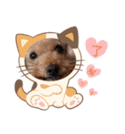 お迎え☆行きます（個別スタンプ：30）