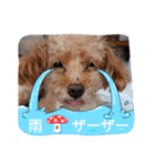 お迎え☆行きます（個別スタンプ：33）
