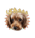 お迎え☆行きます（個別スタンプ：38）