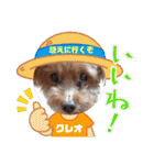 お迎え☆行きます（個別スタンプ：39）