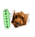 お迎え☆行きます（個別スタンプ：40）