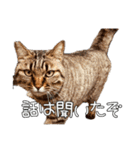 だいぶごま（個別スタンプ：22）