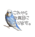 だいぶごま（個別スタンプ：32）