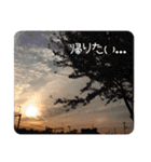だいぶごま（個別スタンプ：39）